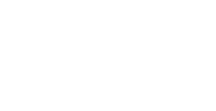 VNOJ GAME